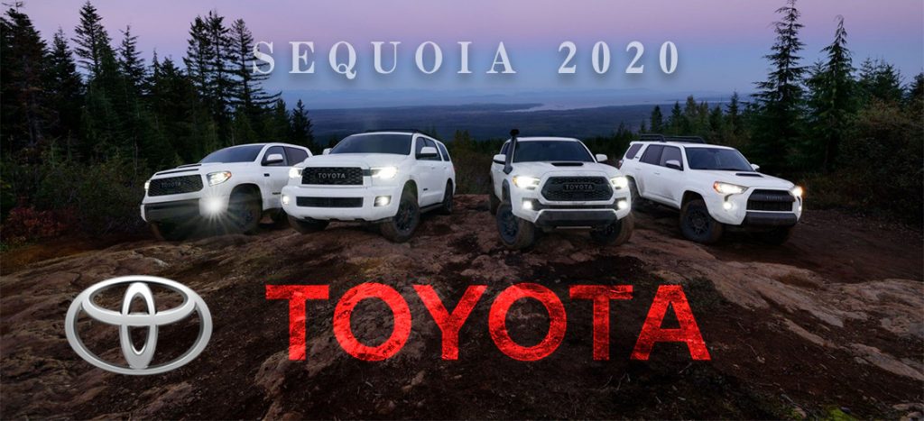 US トヨタ セコイヤTRD PRO 2020 (US TOYOTA Sequoia)　新車